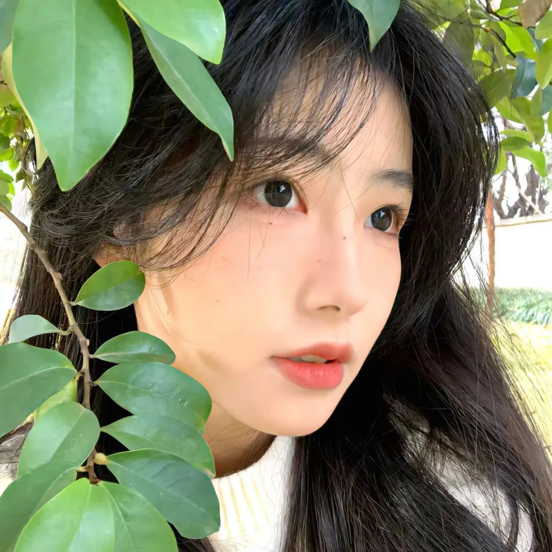 谍影杀机